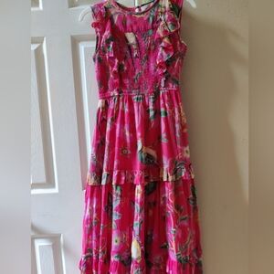 Banjanan Iris Dress in Woden Hedgerow Paradise Pink Birds XS NWOT